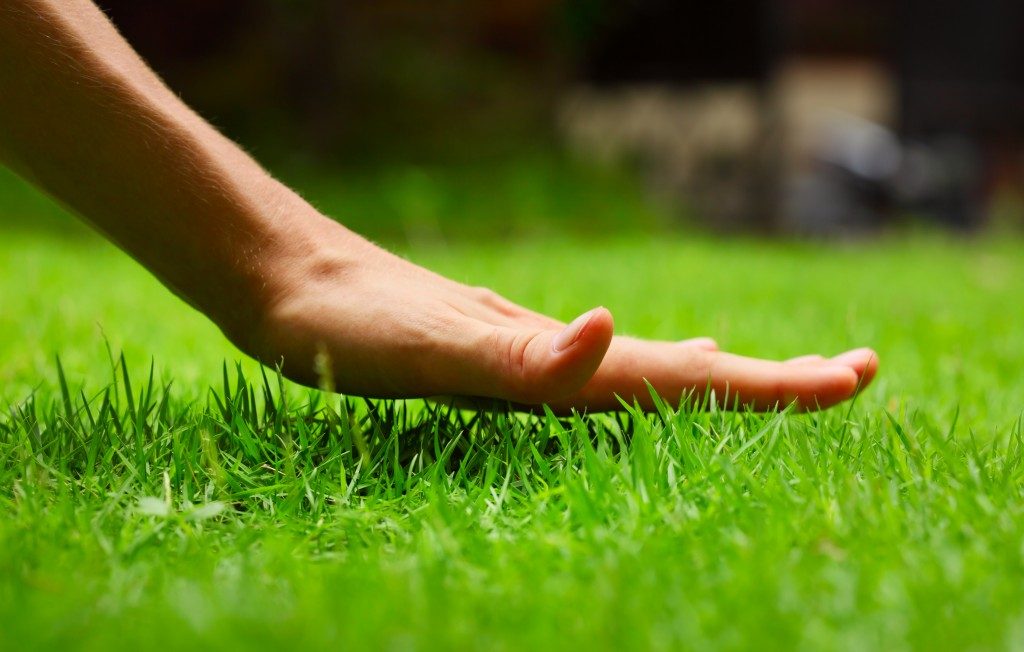 Hand feeling the grass in the lawn