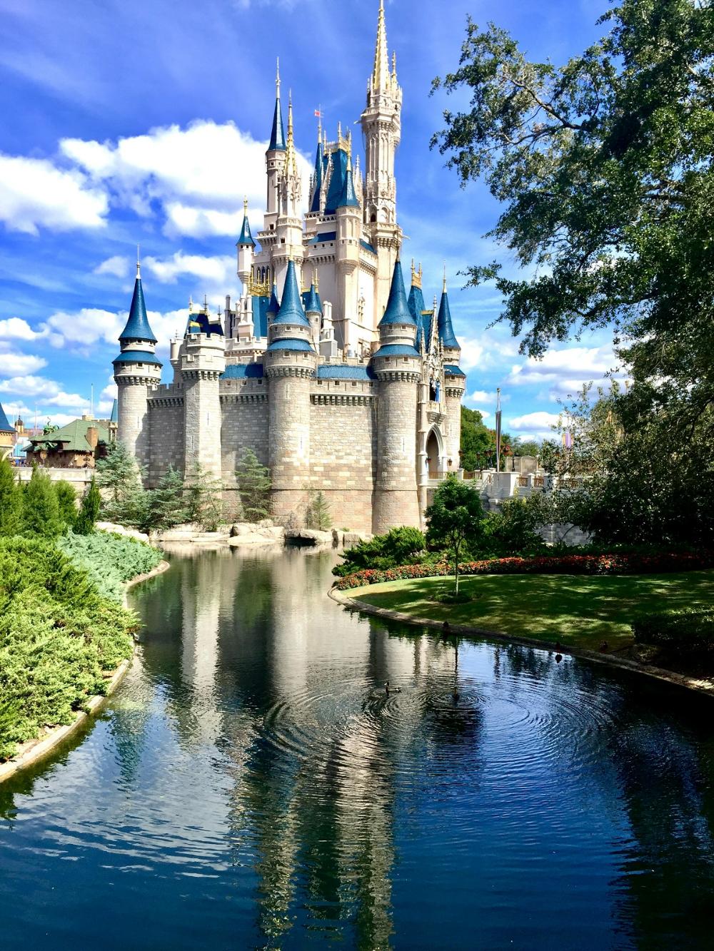 Disney Castle