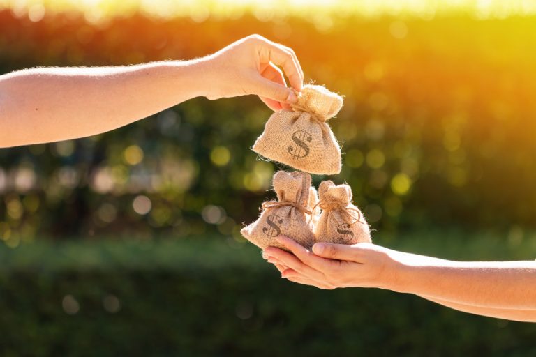 hands holding a dollar bag