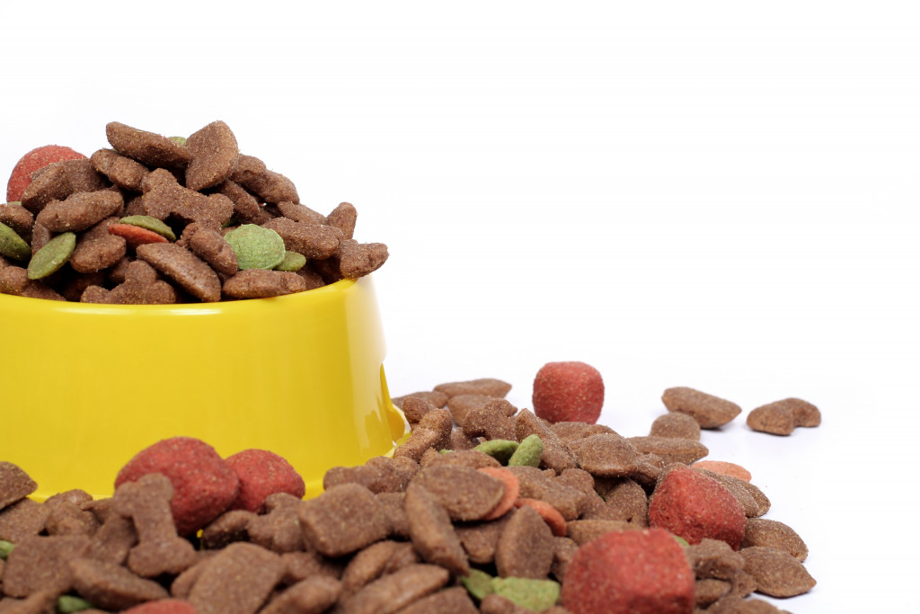 Pet food in container